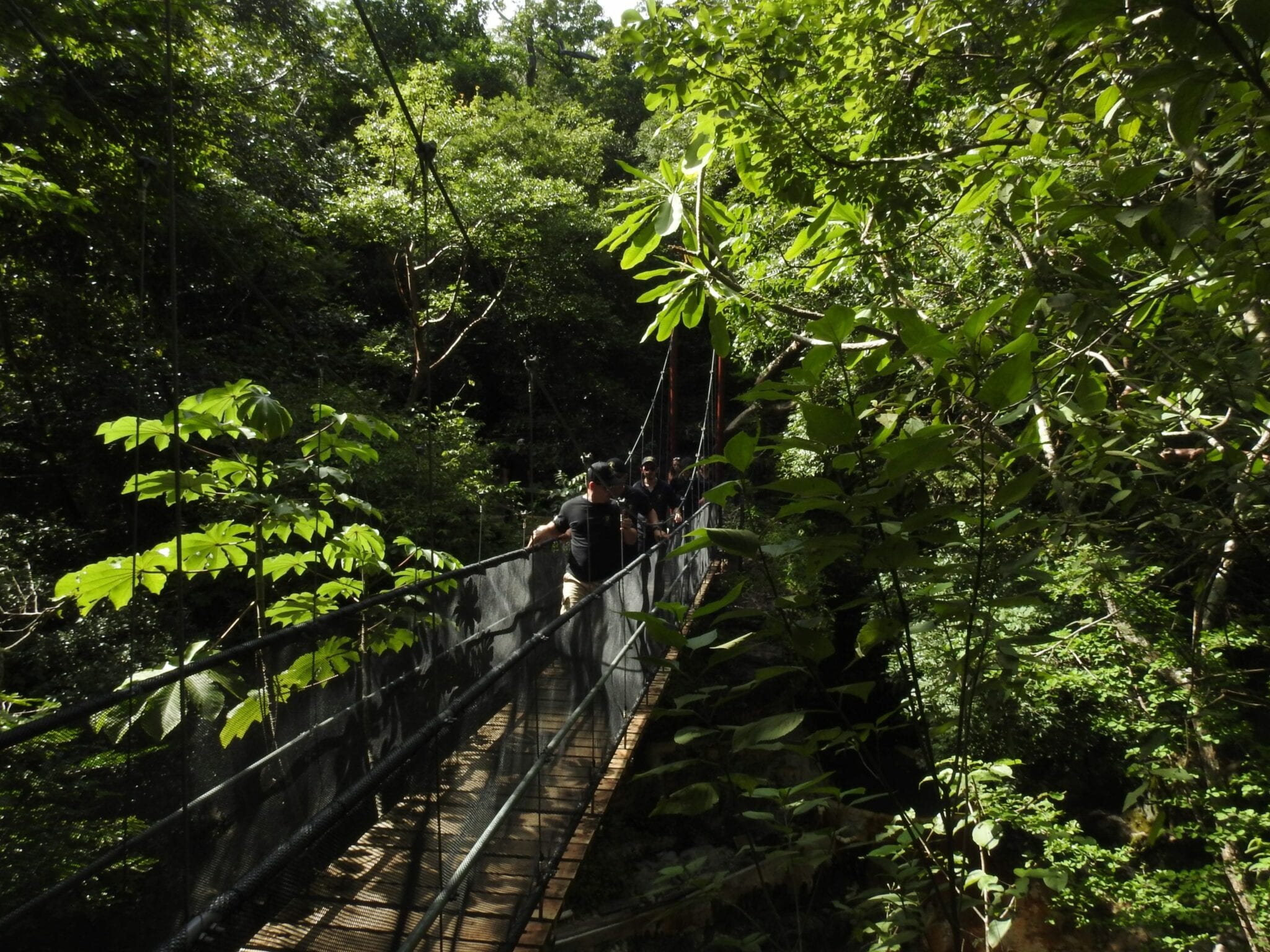 Hanging bridges Costa Rica