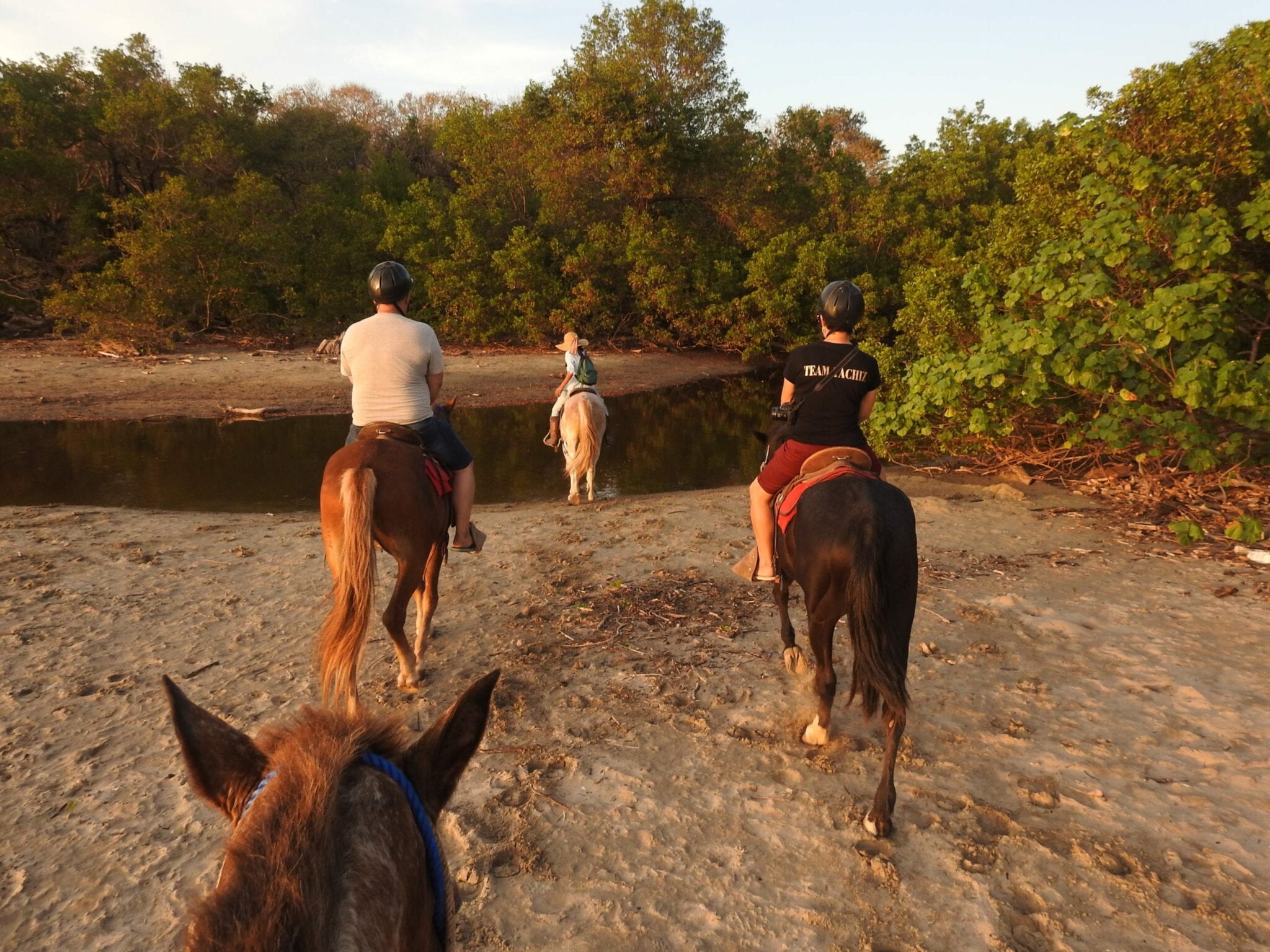 Sunset Horseback Riding Adventure at the Nosara Beach