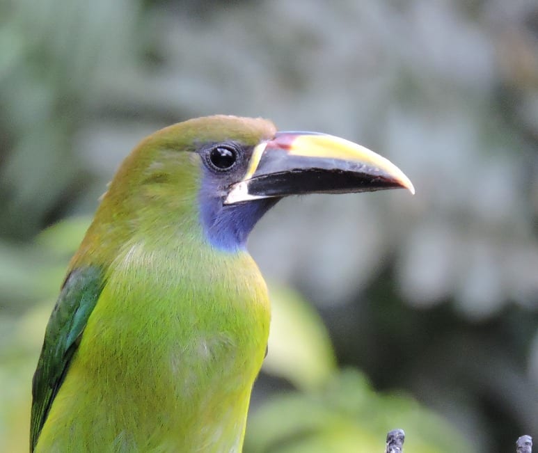 best time of year to visit Costa Rica