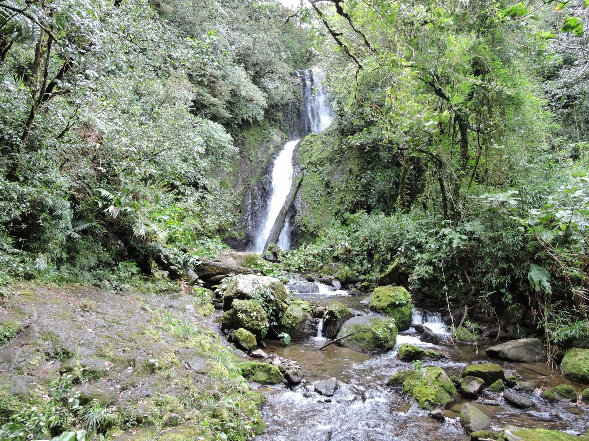 Waterfall Bajos del toro amarillo, Costa Rica.