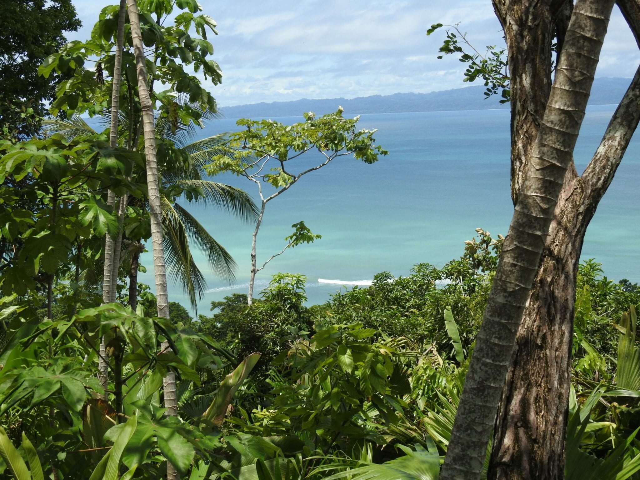 Beach in Costa Rica.